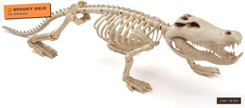 Skeleton crocodiles - 28",