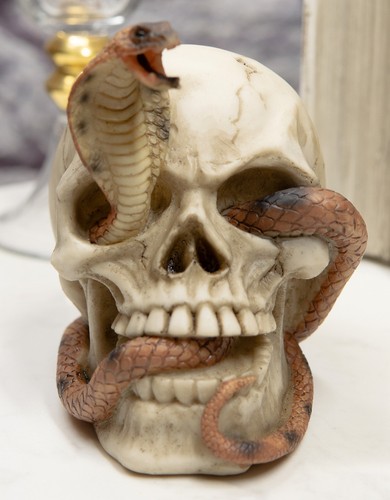 Ebros cranium skeleton cobra - ebros,